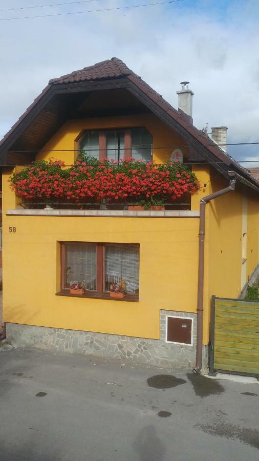Privat U Zdenky Hotel Tvrdosin Exterior photo